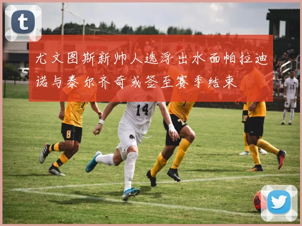 尤文图斯新帅人选浮出水面帕拉迪诺与泰尔齐奇或签至赛季结束